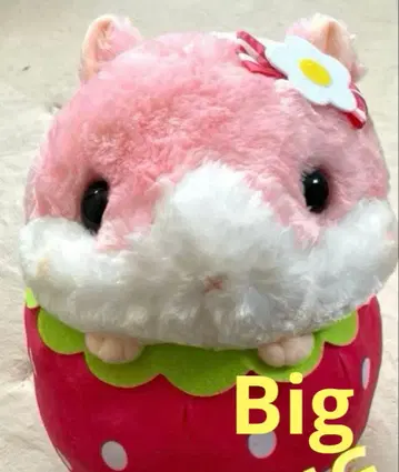 코로하무 콜론 후르츠 2 BIG 딸기 햄스터 택 포함