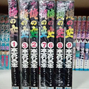 나의 하늘 1-9권 비전권