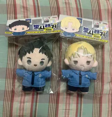 한국 BL 백라이트 backlight 봉제 인형