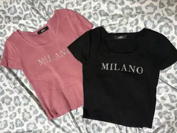 사리아 로고 반팔 니트 T셔츠 2색 세트