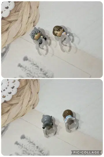 미세스 그린애플 빗쿠라타마고 와카이 히로토 후지사와 료카 세트