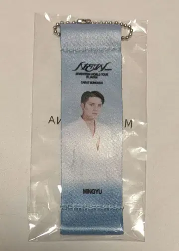 SEVENTEEN NEW 민규 플래그 키링