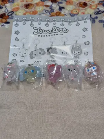 주얼펫 메지루시 액세서리 풀 컴프 세트