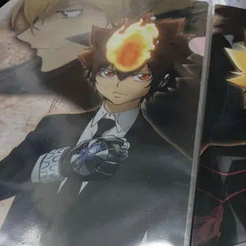 가정교사 히트맨 REBORN! 사와다 츠나요시 JF 한정판 클리어 파일