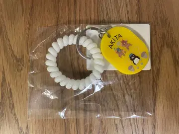 Suica 펭귄 온천 키링 아키타 한정판