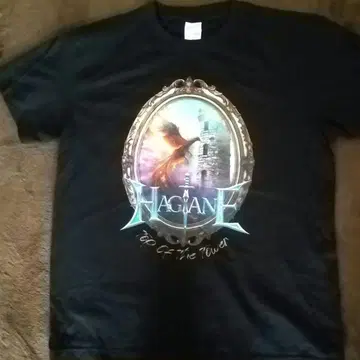 HAGANE 투어 T셔츠 2025