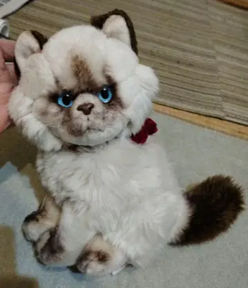 고양이 봉제 인형 본체 화이트와 브라운 고양이