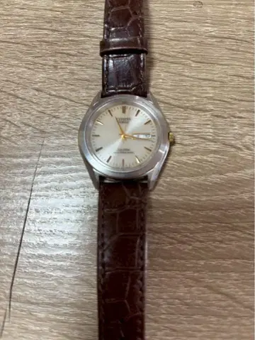 시티즌 포르마의 에코 드라이브 솔라 배터리