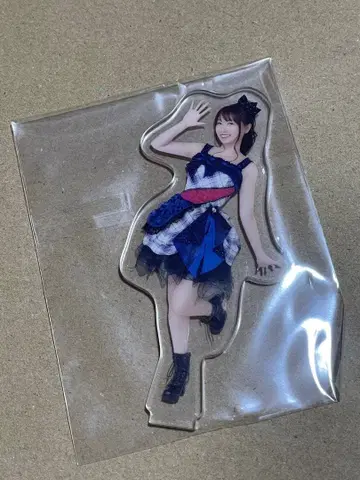 [ 미즈키 나나 ] LIVE VISION 굿즈 아크릴 스탠드