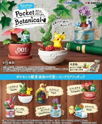 포켓몬스터 포켓 보타니컬 하사무 리멘트