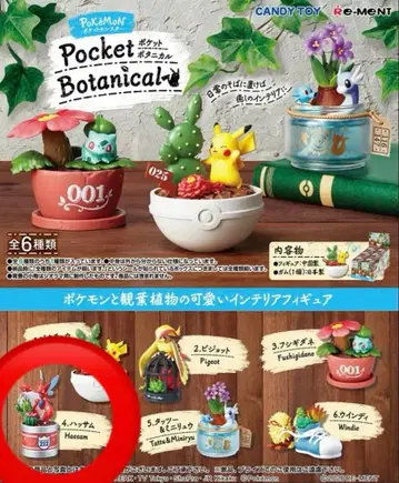 포켓몬스터 포켓 보타니컬 하사무 리멘트