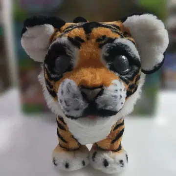 [ 퍼 리얼 로어링 타일러 ]