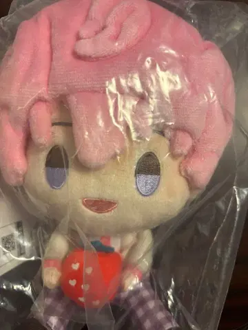 봉제 인형상 사토미 씨