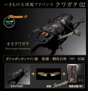 생물대도감 어드밴스 오오쿠와가타