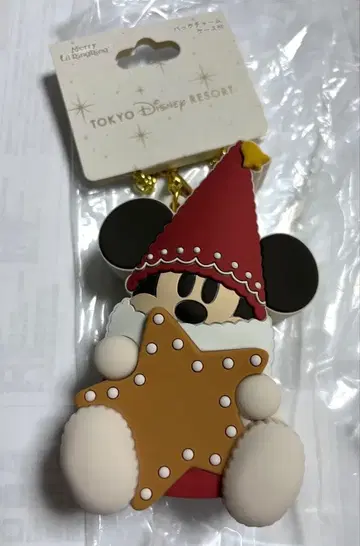도쿄 디즈니 크리스마스 리루린린 백참 케이스 포함