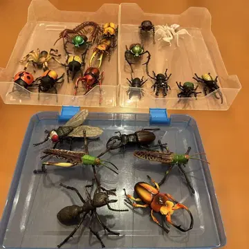 곤충 피규어 세트 4D 퍼즐 묶음 판매