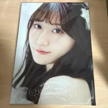 오구라 유이 팜플렛 10주년 라이브 Assemble!!