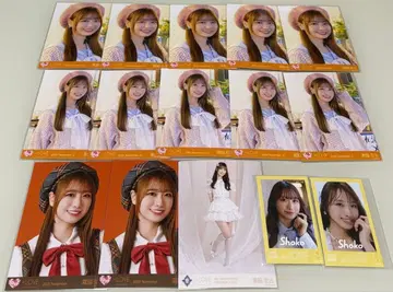 이코러브 타키와키 쇼코 브로마이드 미니 사진 묶음 판매