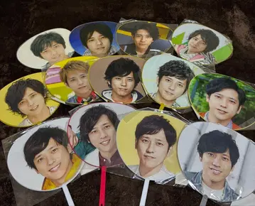 아라시 니노미야 카즈나리 미니 부채 13장 세트