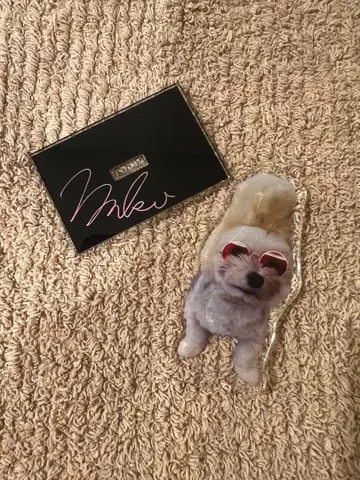 SIMYON 카와카미 모모코 코지코지 코지로 아크릴 스탠드