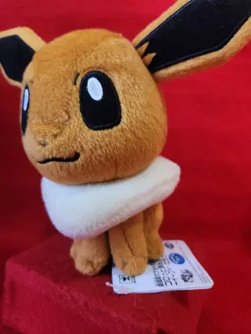 포켓몬 코롯토만마루 봉제 인형 이브이 마스코트 포켓몬스터