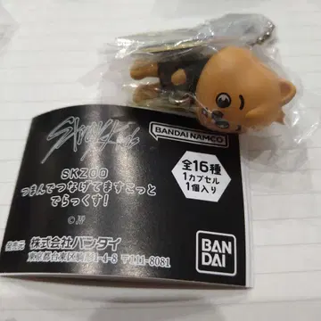 skzoo 스키즈 가챠 한 쿼카