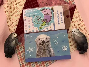 도바 수족관 키라짱 메이짱 굿즈 세트