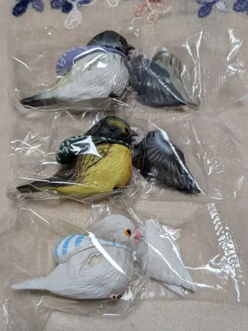 강도새 직박구리 비단새 시프라 한정판 핀치