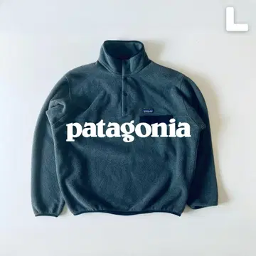 Patagonia 2017년 신틸라 스냅T 니카라과 제 L 그레이