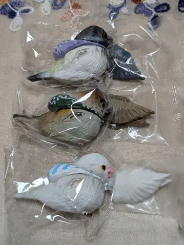 강도새 스즈메 뱁새 시이플라 한정판 분초