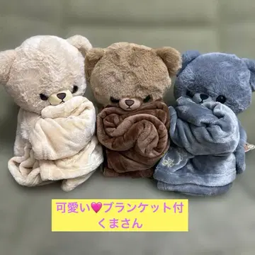 함께 포근포근 곰돌이 담요 포함 3체 세트 택 포함