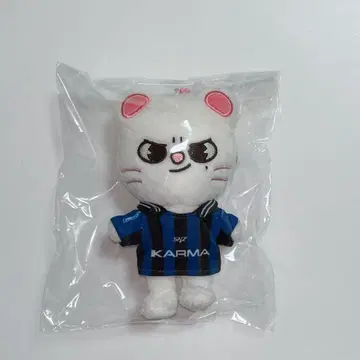 straykids KARMASKZOO ver 지니레트