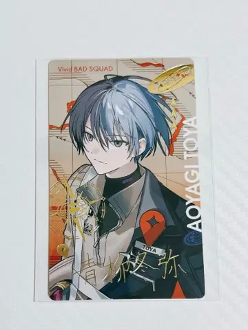 아오야기 겨울 에피카 금박