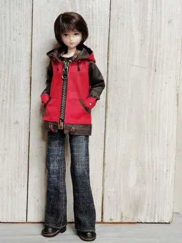 나일론 후드티 브라이스 퓨어니모 ic 인형 제니 시온 27cm