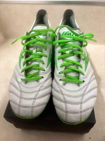 모렐리아 네오 4 교체식 mix 한정판 색상