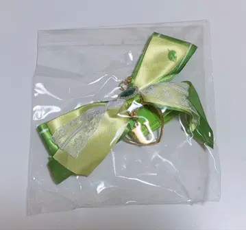 우라시마사카타센 우라타누키 리본 참 타누완 타누원