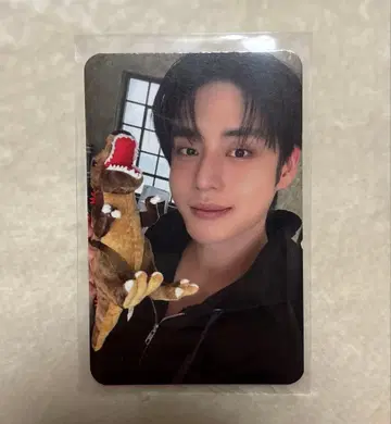 zerobaseone 지운 트레이딩 카드 soundwave zb1 공룡