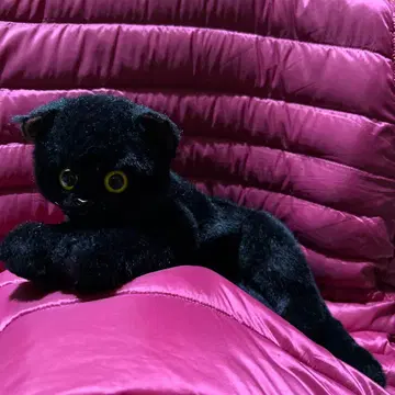 DOUSIN 동심 봉제 인형 고양이 검은 고양이 레트로