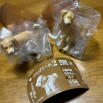 펀바리누 2 골든 리트리버 시크릿 & 노멀 2개 세트