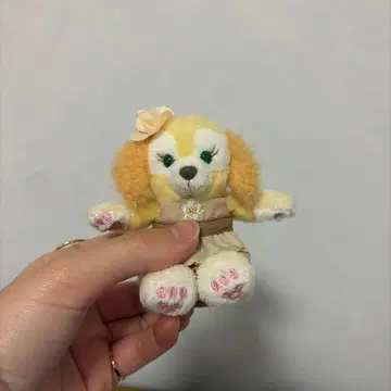 쿠키앤 봉제 인형 참