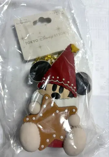 도쿄 디즈니 크리스마스 릴린린 백참 케이스 포함