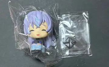 니지산지 Dytica 호시미치 쇼 니지콧토 B