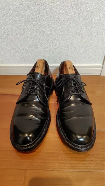 [ 기간 한정 판매 ] Alden 9901 US7.5 코도반 블랙