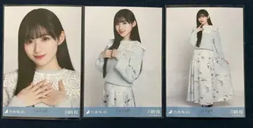 노기자카46 브로마이드 카와사키 벚꽃 카라 부착 코디 3종 컴프