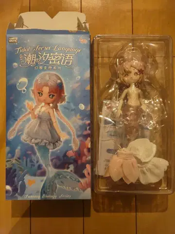 ANTU(안티유): 조개의 비밀스러운 말, 미광