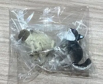 굼바리누 2 퍼그 치와와 블랙탄 가챠가챠