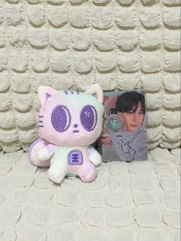 TXT 뿔바투 다고냥 키링