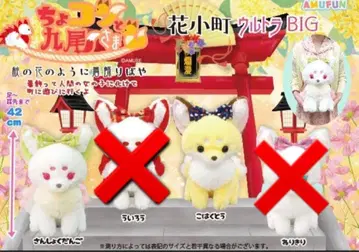 쵸콘과 구미호님 쵸콘토 여우 BIG 봉제 인형 2종 세트