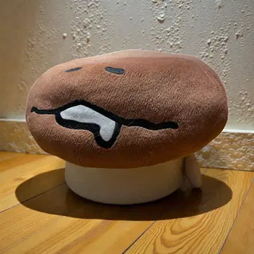 만지면 알 수 있는 탐정 버섯 재배 키트 좌식