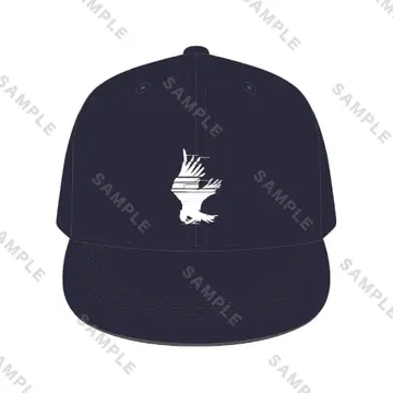 아머드 코어 6 콘서트 캡